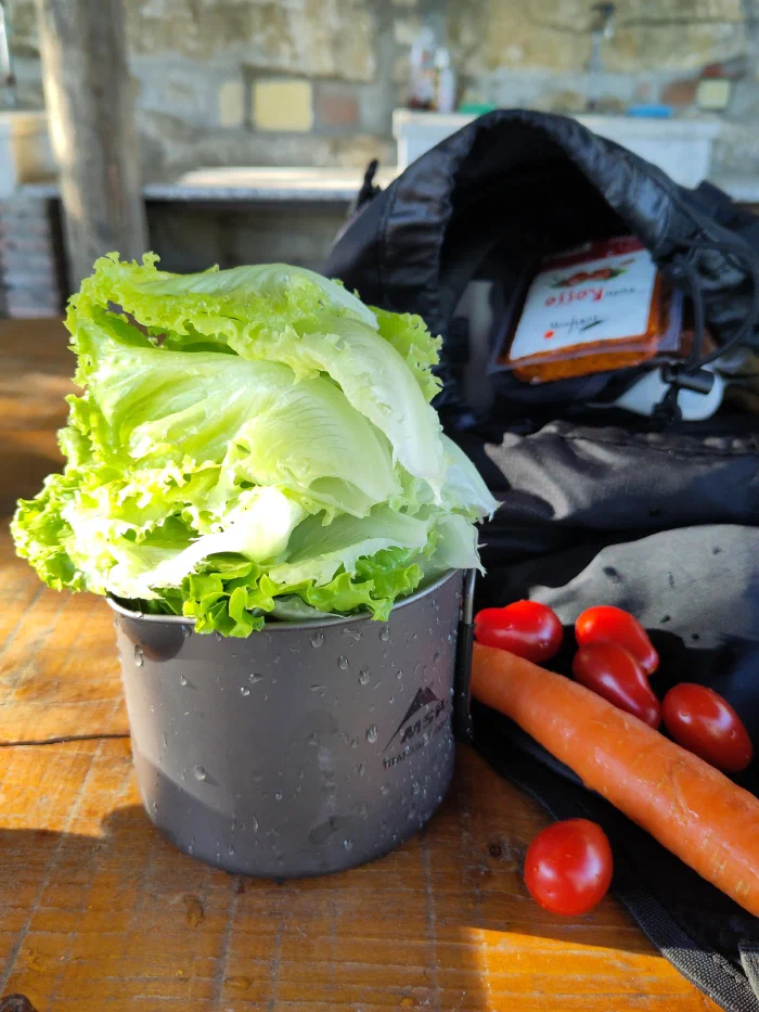 portfolio-2024-52.jpg