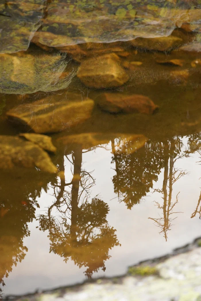 portfolio-2024-64.jpg